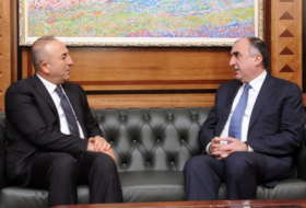 Сотрудничество Азербайджана и Турции строится на принципе 